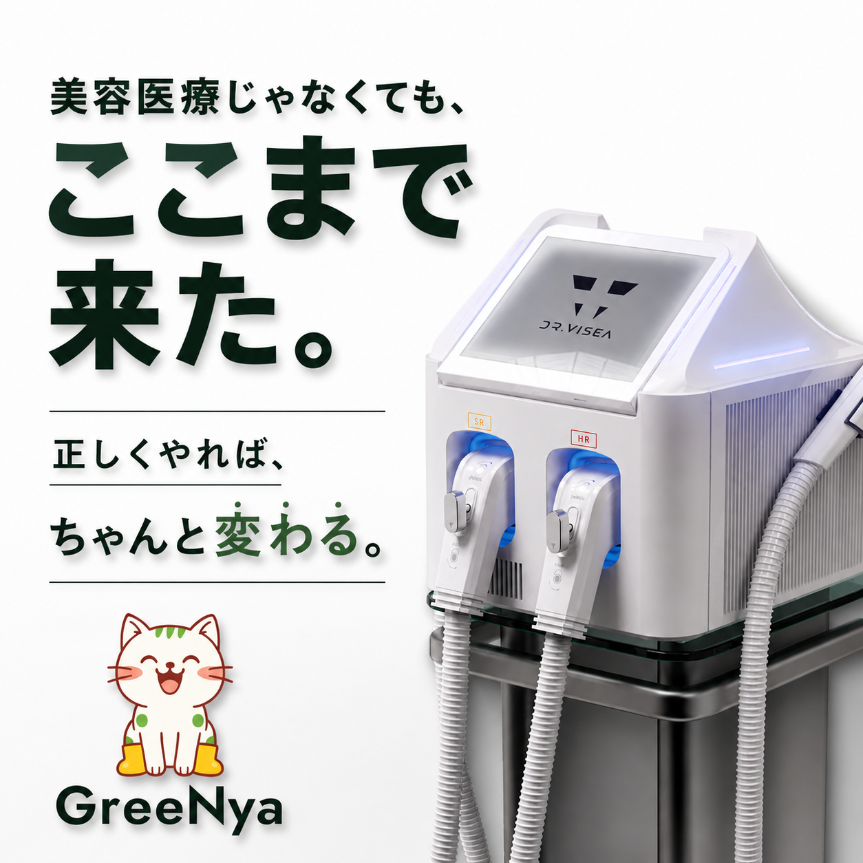 ダウンロード
