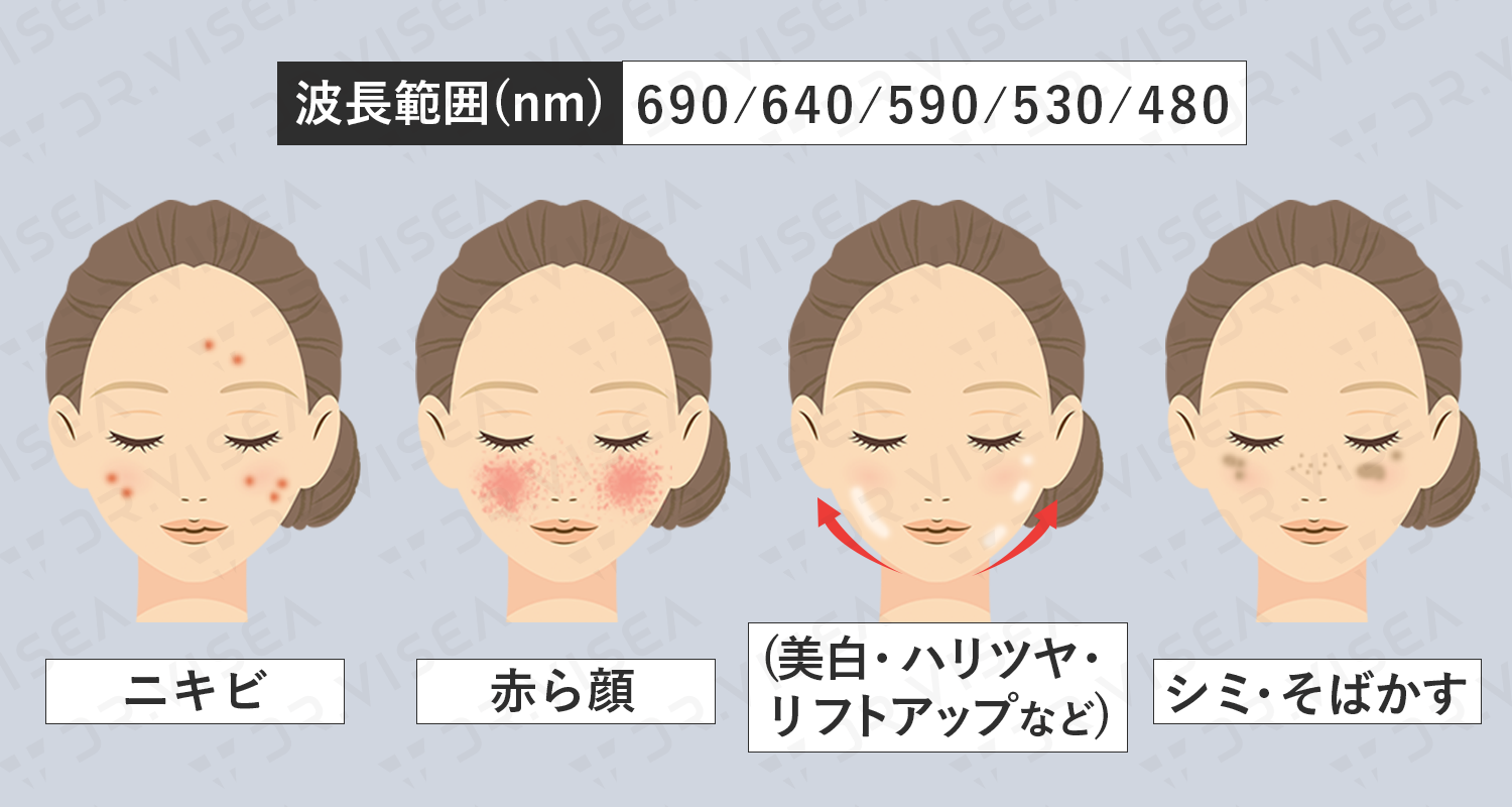 ダウンロード